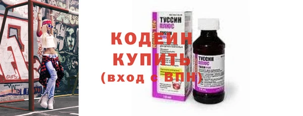 мет Няндома