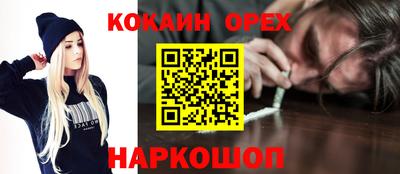 Альфа ПВП Сланцы