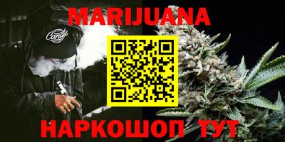 Альфа ПВП Сланцы