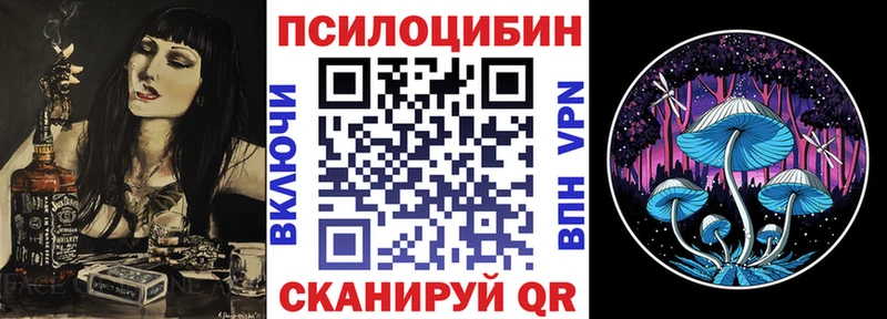 как найти наркотики  Рыбинск  Псилоцибиновые грибы Psilocybe 