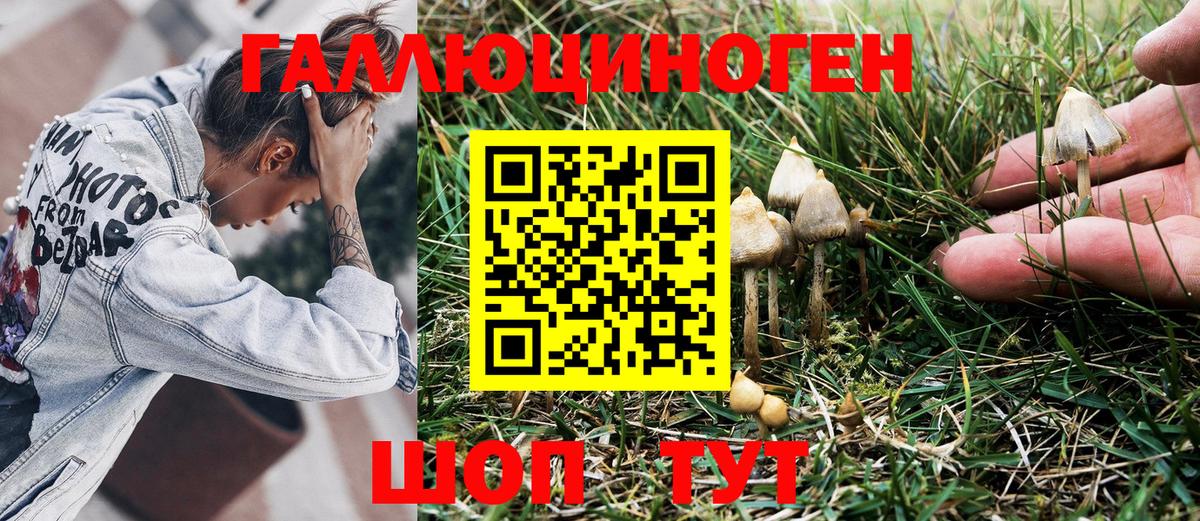 купить наркоту  Псилоцибиновые грибы Magic Shrooms  Вход с VPN  Рыбинск 